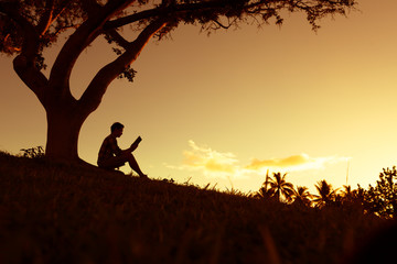 什么是生物的种和界?