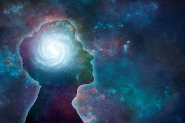 什么是生物的种和界?